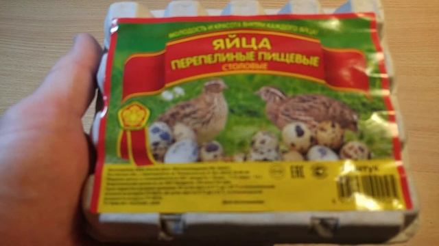 Проект №5 Выведение и инкубация перепелов в домашних условиях на батарее смотреть онлайн