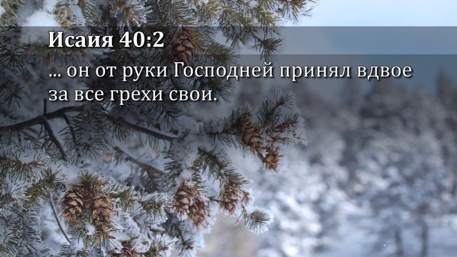 4. Война окончена (Эндрю Уоммак, 2025) смотреть онлайн