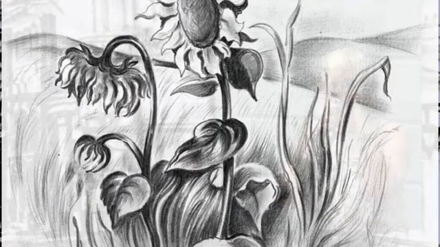 Раиса Рязанова. Творческий вечер 06.07.2019, г Черновцы. смотреть онлайн