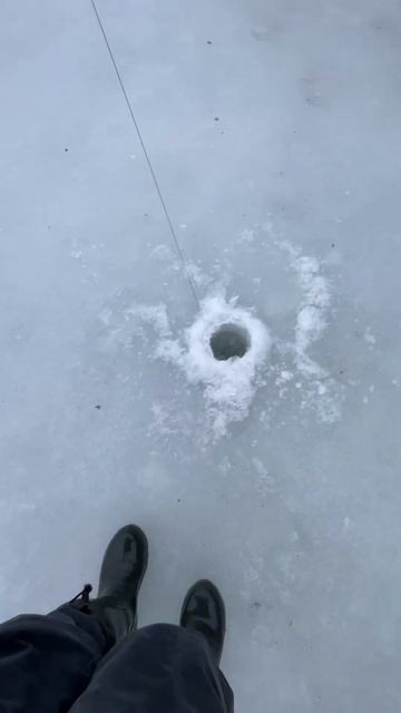 #рыбалка #fishing #псковская_область смотреть онлайн