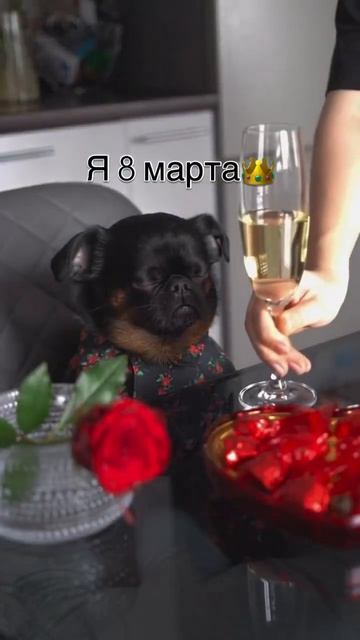 #8марта #женщина #женщины #девушка #девушки #смешное #см? смотреть онлайн