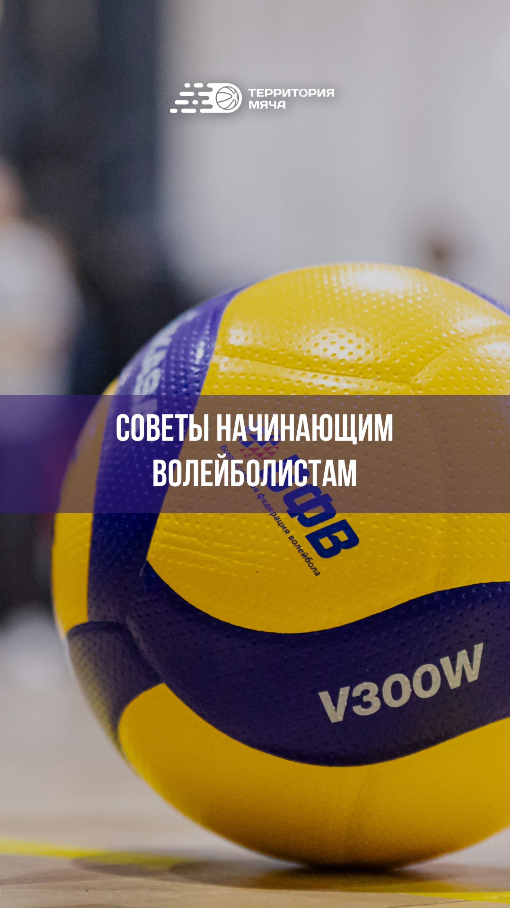 Советы начинающим волейболистам: смотреть онлайн