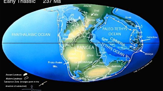 гондвана (2)