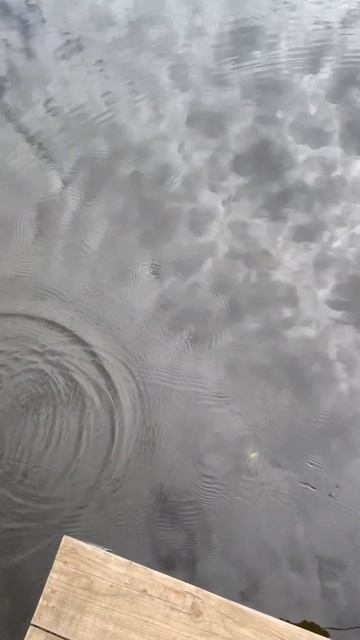 Jackall Chubby в деле. #fishing #поклевка #carpfishing #рыба #carp #щука #fish смотреть онлайн