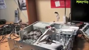 Подборка-психи за компьютером,приколы