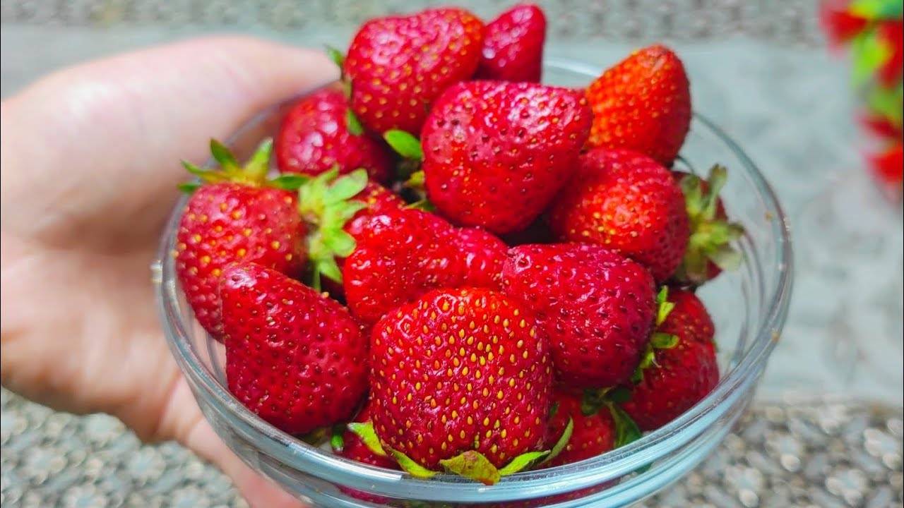 СРОЧНО ПОКУПАЙТЕ КЛУБНИКУ и готовьте из нее вкусняшку