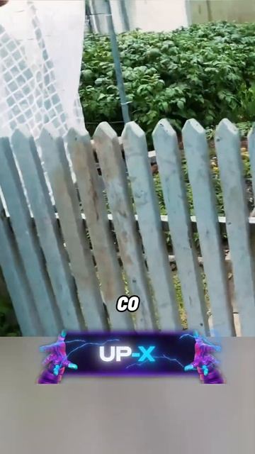 ворон застрял в заборе смотреть онлайн