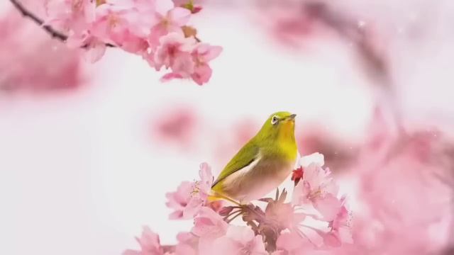 Дуа Утро أذكار الصباح защитить вас вес день! утренний ? смотреть онлайн