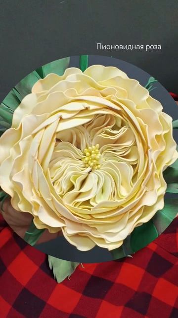 Брошь-Роза пионовидная Фоам #цветыизфоамирана #розаиз смотреть онлайн