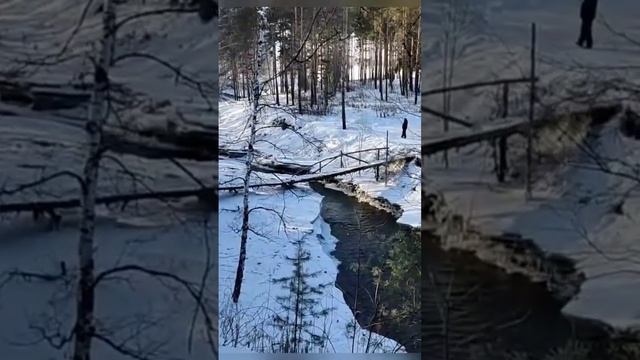 песня "Берега, где река... " Анатолий Киреев, локация Бал смотреть онлайн