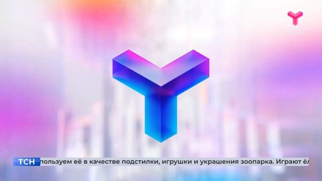 Как утилизировать новогодние ёлки? смотреть онлайн