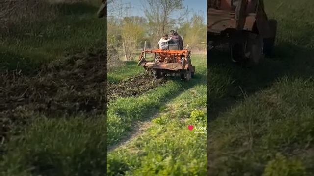 Алиса огородник