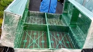 ГРЯДКИ ИЗ ЯЩИКОВ ПЛАСТИКОВЫХ с функцией парника👍