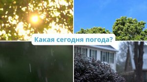 Какая сегодня погода? РКИ для детей. Билингвы #рки