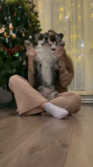 Наш второй Новый год ❤️Знаете цитату?«Если у вас есть смотреть онлайн