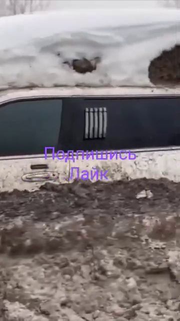 🚘 В Москве начали появляться подснежники. #подпишись смотреть онлайн
