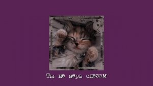 Ты не верь слезам | speed up ^••^~