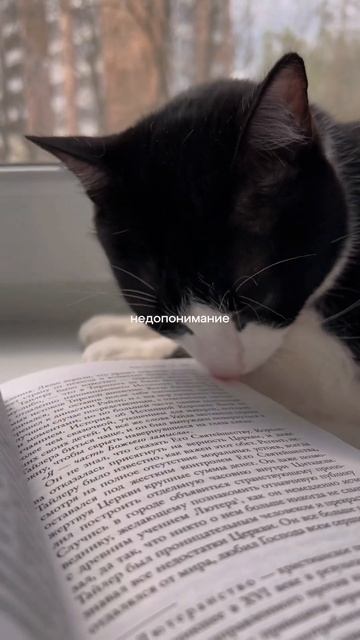 А потом узнала, что есть продолжение и быстренько зака смотреть онлайн