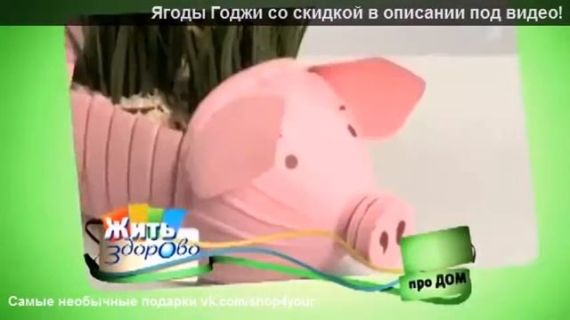 как едят ягоды годжи смотреть онлайн