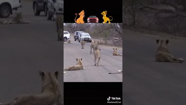 тик ток ох ох э би тю!♥️🤣😂 смотреть онлайн