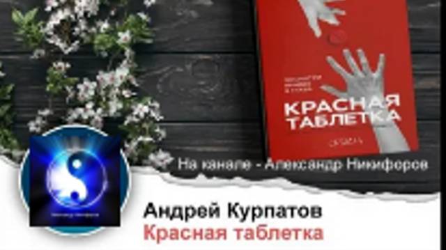 Аудиокнига. Красная таблетка 2. "Вся правда об успехе". Часть 2 ( из 2-х ) смотреть онлайн