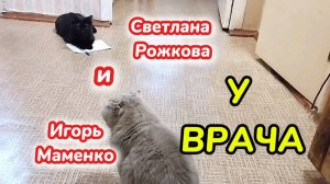 ЮМОР, монолог У ВРАЧА. И. Маменко, С. Рожкова. Смешная озвучка кошек.