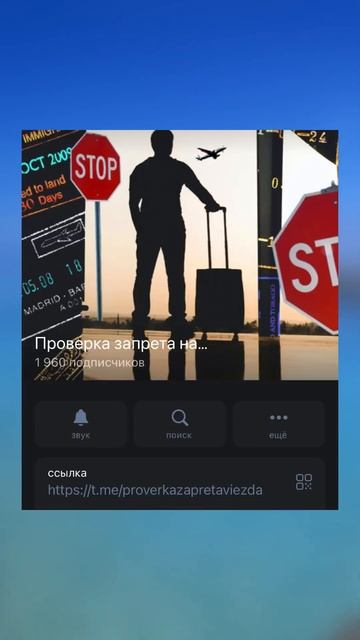 Как проверить запрет на выезд? ЛЕГКО!!! смотреть онлайн