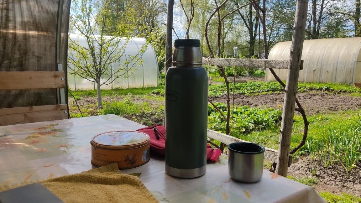 14-05-2025 Влог одного дня в саду и дома. Подвязываю виноград. Уход за волосами, делюсь опытом. смотреть онлайн