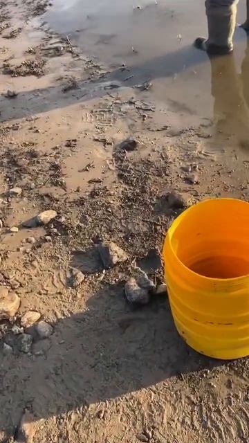 Рыбалка.Улов за утро.Буду показывать видео много #клев