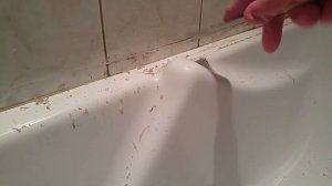 Удаление силикона с плитки и акриловой ванны. Быстро и эффективно.