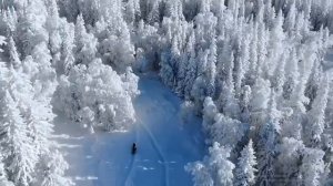 Песня на стихи Пушкина / Песня из нейросети / песни на с