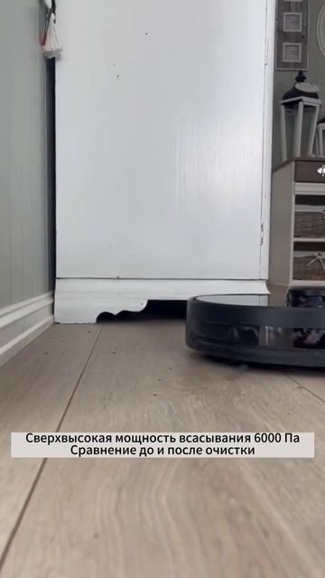 Neatsvor X600Pro стал хорошим другом кошек #neatsvor #cat #кошки #кош смотреть онлайн