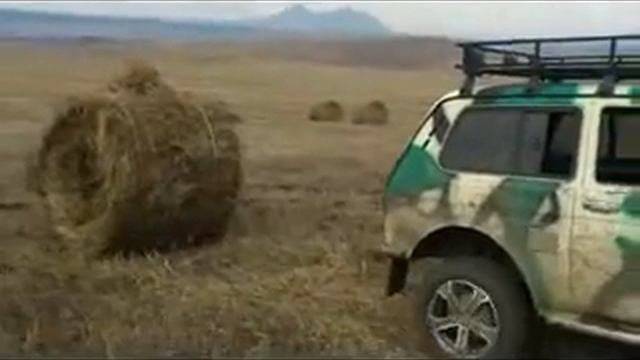 первая оттепель