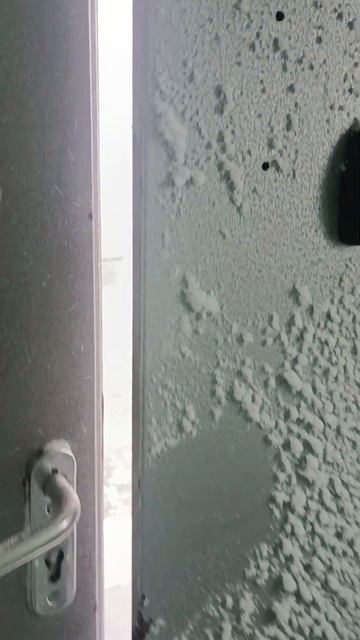 Сахалин город южно-сахалинск 24 января 2024 году смотреть онлайн