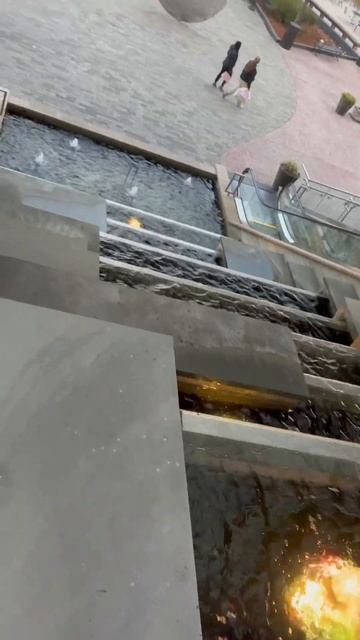 1175 серия жизни Робина смотреть онлайн