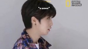 Смешные моменты со Stray Kids|Стрей кидс