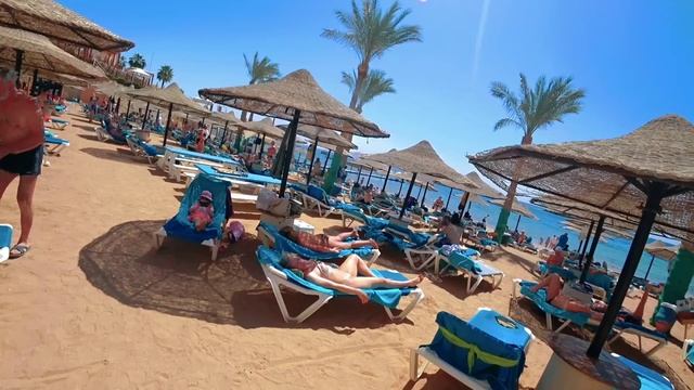 Египет 🇪🇬 ДЕНЬГИ НЕ ХОТЯТ БРАТЬ  Island View Resort 5* Первая ?