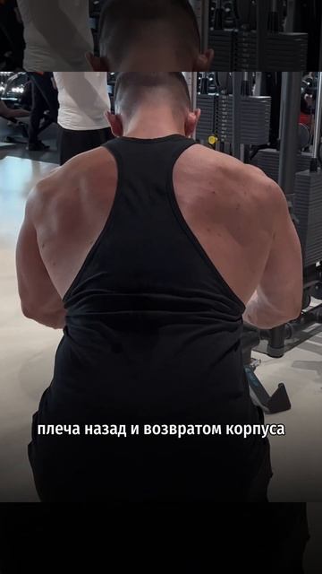 Тяга горизонтальная с нижнего блока стоя смотреть онлайн