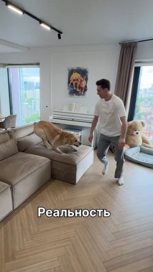 Ожидания не оправдались 😁