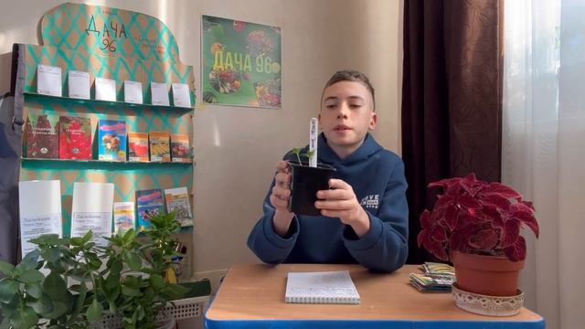 ВСЯ ПРАВДА О МОЁМ САДОВОМ ИНТЕРНЕТ МАГАЗИНЕ! смотреть онлайн