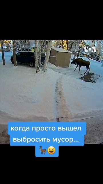 😂приколы из тик ток 2023😂 #shorts смотреть онлайн