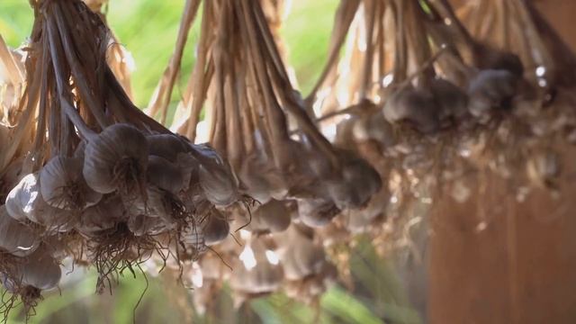 Ты портишь еду, даже не зная это! смотреть онлайн