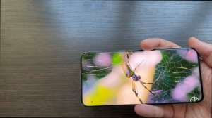 HONOR 200 КРУТОЙ СМАРТФОН СРЕДНЕГО КЛАССА С ЭЛЕМЕНТАМИ Ф?