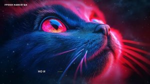 Баба Ванга раскрыла судьбу тех, у кого дома есть кошка