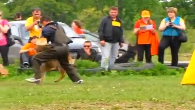 Аксельбруннен Анаконда  ++