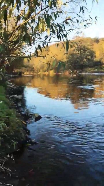 Прогулка выходного дня #travel #happy #liebe #train смотреть онлайн