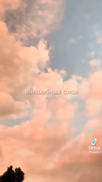 а я не знаю где живёт любовь🥀🥃 смотреть онлайн