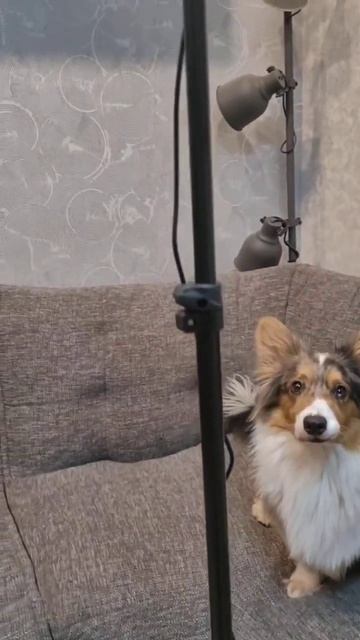 #распаковка #блогер #блог #нарезки #лампа #книжныйблог #