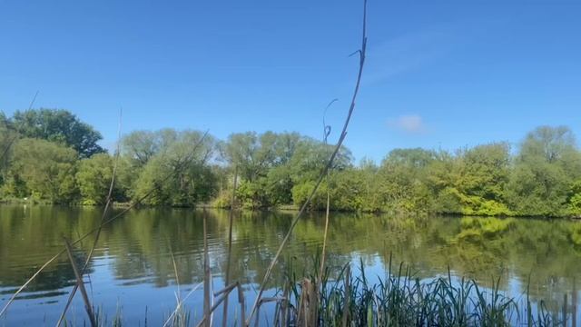 природа смотреть онлайн