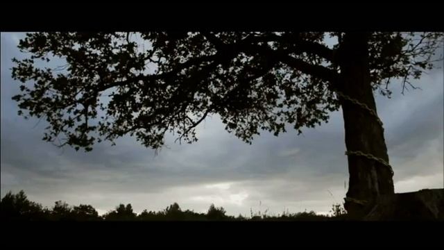 Ох уж эти машины Love Story. Ведущая Ольга +380502135745 ведущая в северодонецке 2016